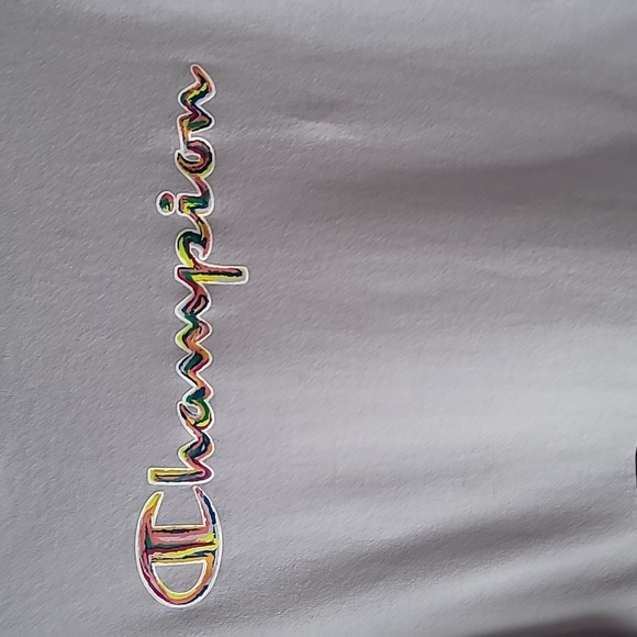 Champion Hoodie Sweatshirt Beautiful Logo Size XL - Picture 2 of 9